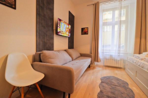 Spacious apartment in the center of Prague